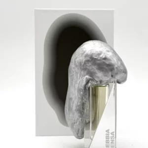 Filippo Sorcionelli Densa - Image 3